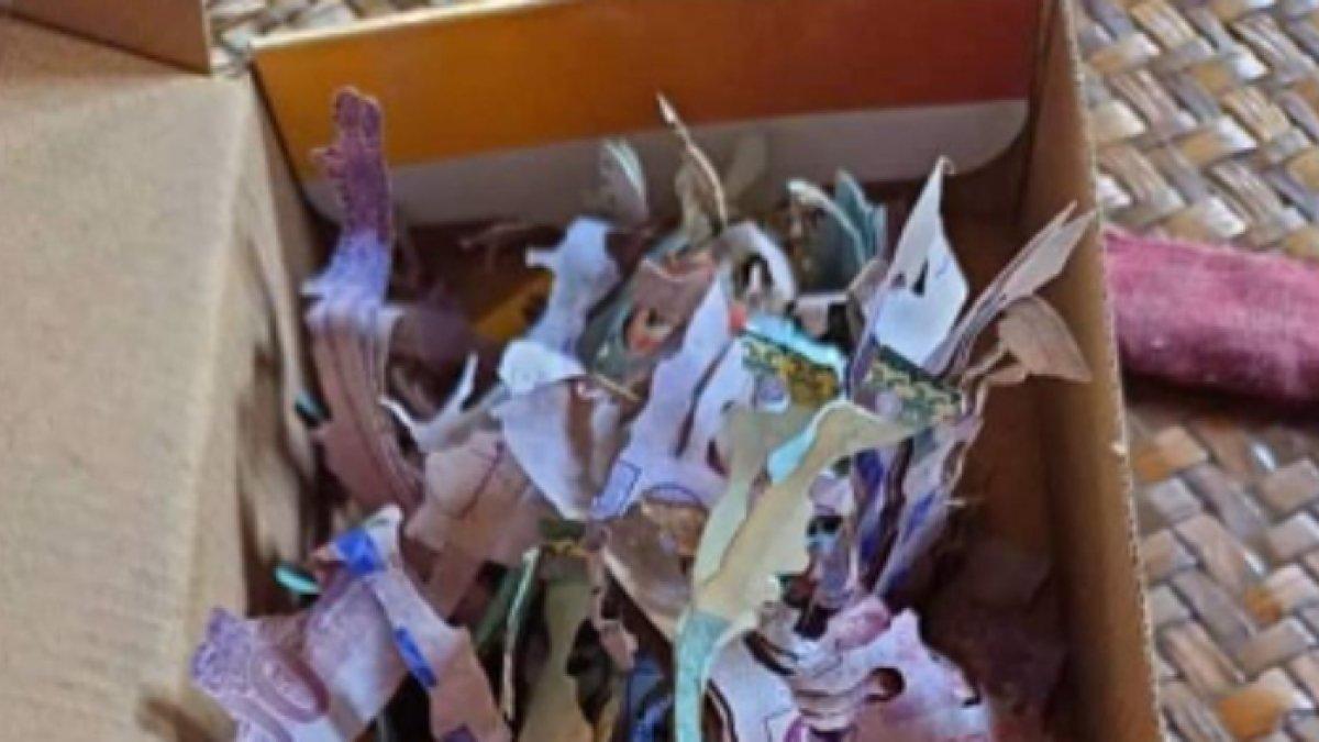 Uang sebesar 99 juta dimakan rayap