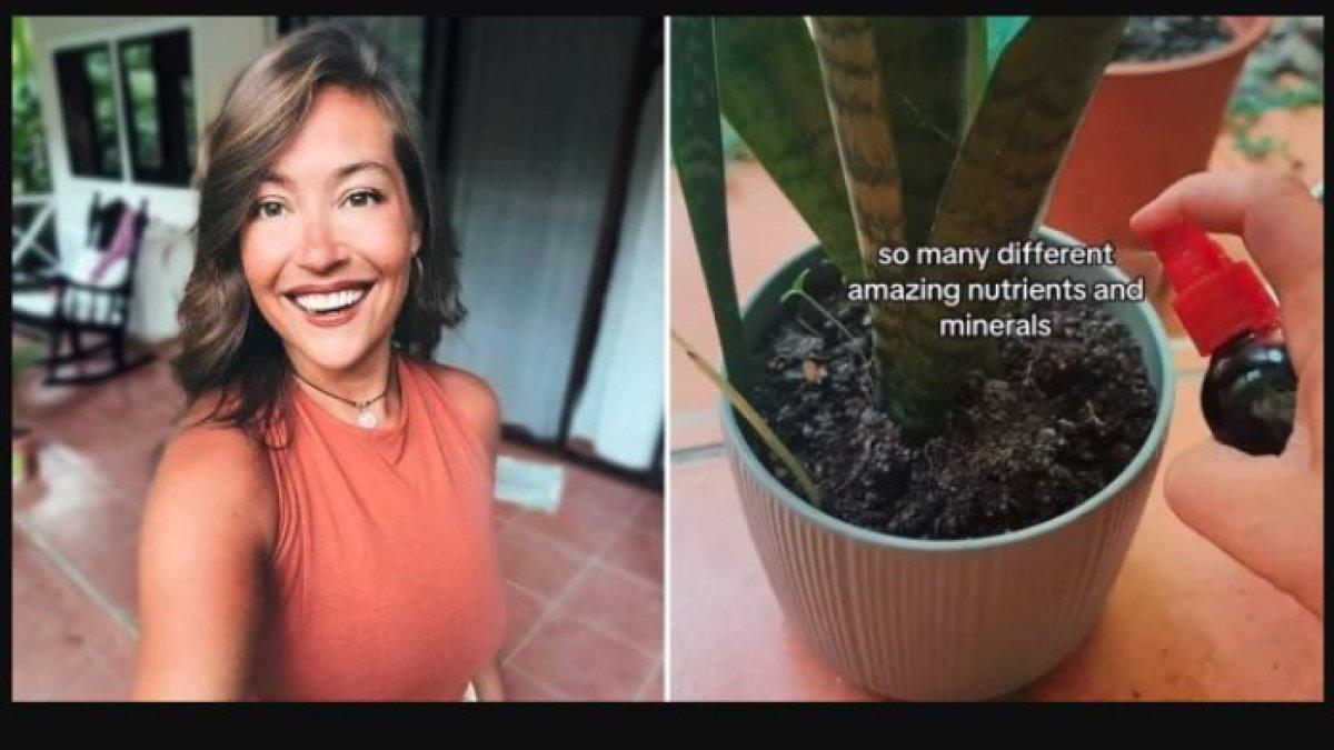 Wanita membagikan tips bercocok tanamnya yang aneh dengan menggunakan darah menstruasi.