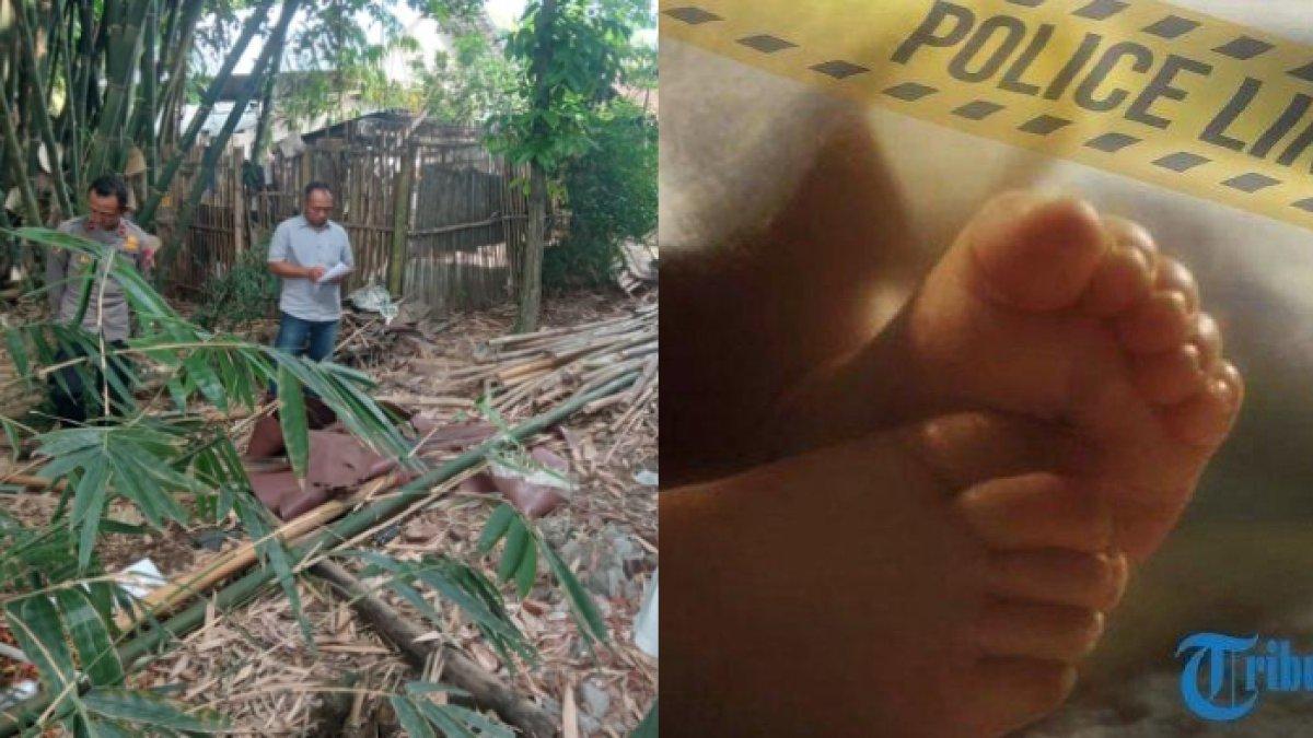 Warga Banyuwangi syok temukan bayi dengan kondisi membusuk