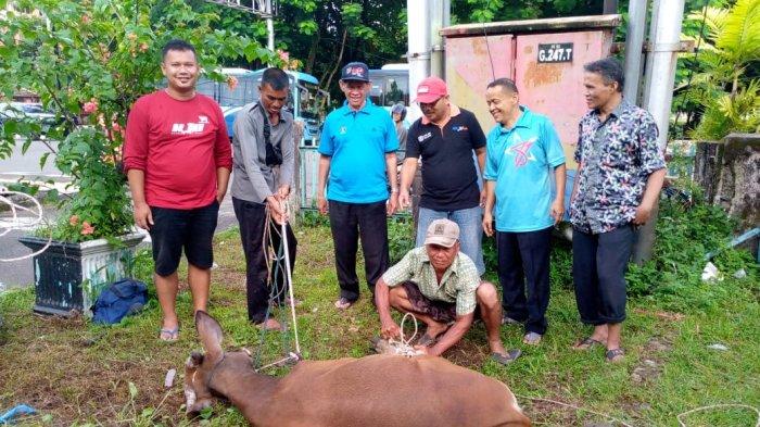 Persatuan Wartawan Indonesia (PWI) Sumatera Barat (Sumbar) melaksanakan penyembelihan sapi kurban pada Jumat (30/6/2023). Prosesinya, secara khidmat berlangsung di halaman kantor PWI Sumbar, Jalan Bagindo Azis Chan, Kota Padang, Provinsi Sumbar.