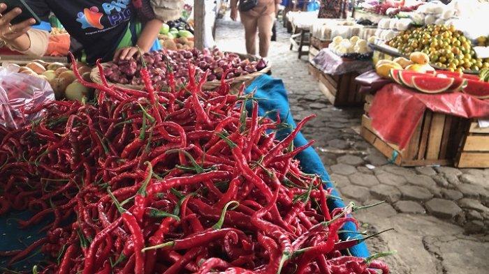 HARGA CABAI SIJUNJUNG - Harga cabai merah di Pasar Inpres yang terletak di Nagari Muaro, Kecamatan Sijunjung, Kabupaten Sijunjung, Provinsi Sumatera Barat mulai naik. Saat TribunPadang.com berkunjung ke Pasar Inpres pada Jumat (11/7/2025) harga cabai mulai berangsur naik menjadi Rp 40 ribu sekilo.