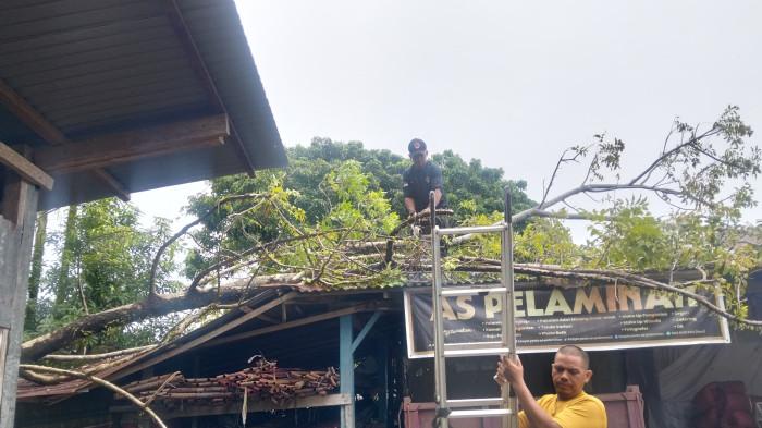 POHON KEONDONG - Hujan deras disertai angin kencang melanda Kota Padang pada Sabtu, (26/7 2025), sekitar pukul 10.35 WIB. 