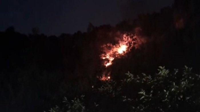 Kebakaran Hutan di Harau Sumbar Meluas Capai 5 Hektar Lahan Gambut Terbakar dan Upaya Pemadaman Terkendala