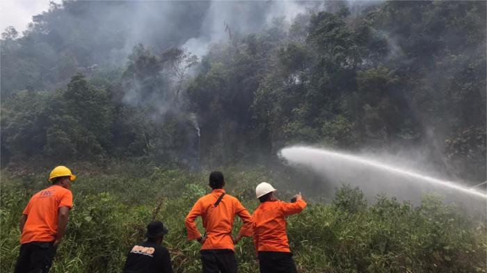 KARHUTLA DI SUMBAR - Api masih menyala di beberapa titik di Jorong Lubuak Limpato, Nagari Tarantang, Kecamatan Harau, Kabupaten Lima Puluh Kota, Sumatera Barat, Rabu (23/7/2025). Masyarakat sebut karhutla sudah terjadi di Jorong Lubuak Limpato dalam kurun waktu seminggu.
