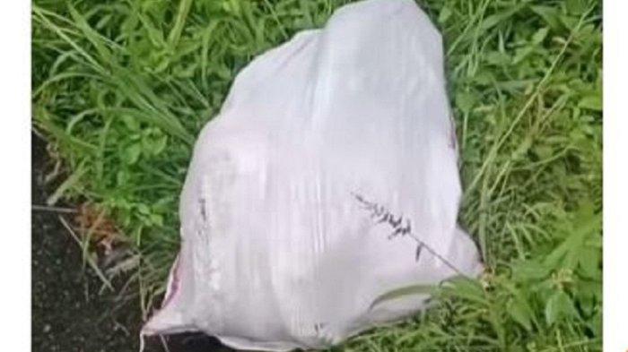 MAYAT DALAM KARUNG -  Karung diduga berisi mayat ditemukan di Sungai Tarab, Tanah Datar, Sumatera Barat Rabu (19/2/2025). Penemuan ini viral setelah video kejadian beredar di media sosial.