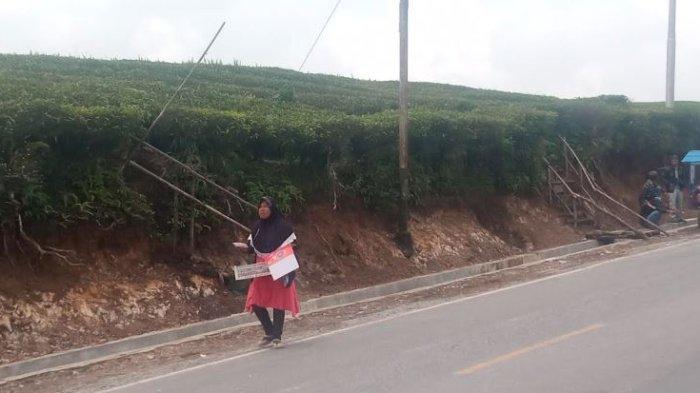 Kebun teh Solok Sumbar