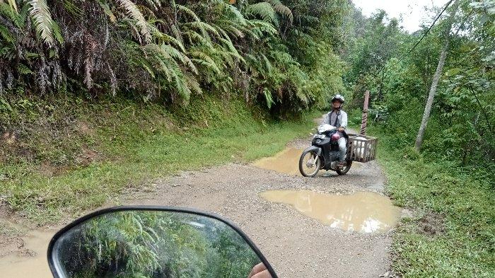 JALAN RUSAK PAGADIH - Kondisi jalan di Nagari Pagadih, Kecamatan Palupuh, Kabupaten Agam. Masyarakat Pagadih, Jefri sebut Gubernur Sumbar Mahyeldi pernah menjanjikan perbaikan jalan pada tahun 2022. Namun sampai sekarang belum ada tindakan, Kamis (17/4/2025).