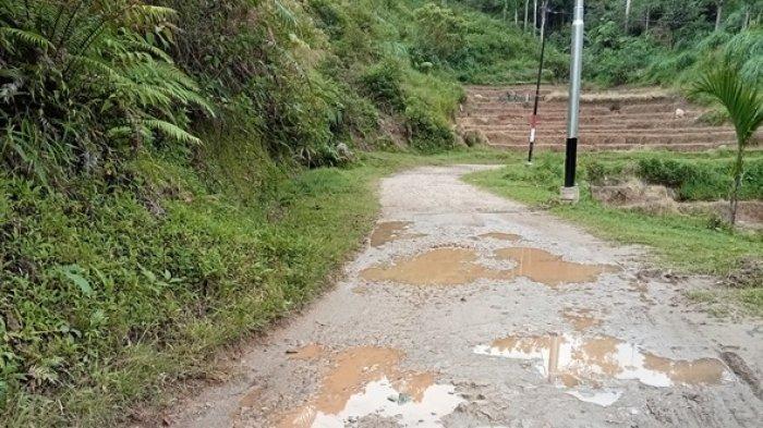 JALAN RUSAK PAGADIH - Kondisi jalan di Nagari Pagadih, Kecamatan Palupuh, Kabupaten Agam. Masyarakat Pagadih, Jefri sebut siswa sering mengalami kecelakaan karena akses jalan rusak, Kamis (17/4/2025).