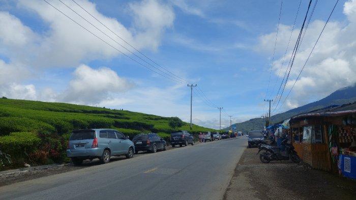 Kondisi kebun teh Solok ketika libur nasional yang ramai oleh pengunjung. 
