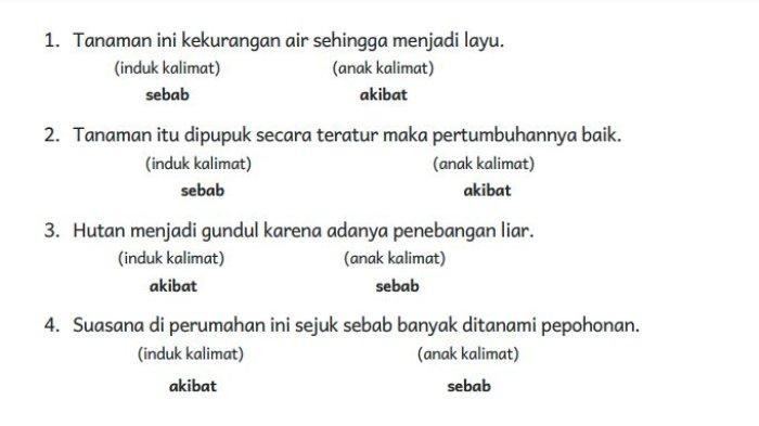 Kunci Jawaban Bahasa Indonesia Kelas 5 Halaman 153 Kurikulum Merdeka