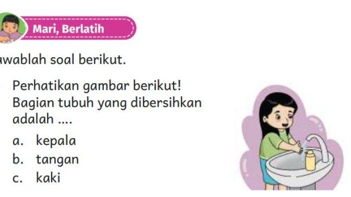 Materi pendidikan pancasila kelas 2 aku dan teman temanku