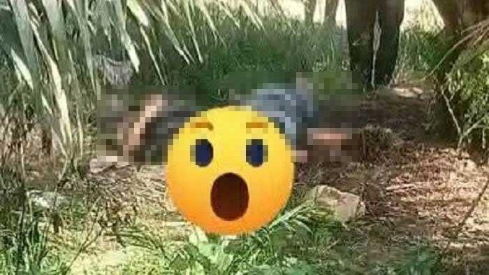 PENEMUAN MAYAT DI SOLOK SELATAN. Viral di media sosial Instagram telah ditemukan dua mayat di sebuah area perkebunan sawit di Nagari Abai, Kecamatan Sangir Batang Hari, Kabupaten Solok Selatan, Sumatera Barat, Jumat (20/6/2025). Dalam video tersebut tampak, mayat yang ditemukan tergelatak di atas rumput dekat pohon sawit.