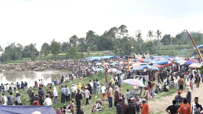 Penutupan Alek Pacu Jawi dihelat di Nagari Padang Laweh, Kecamatan Sungai Tarab, Kabupaten Tanah Datar, Sumatera Barat (Sumbar), Sabtu (28/12/2024).