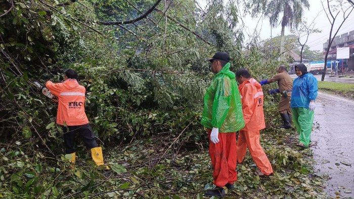 Pohon tumbang menghambat akses jalan di Jalan Raya Padang Besi, Kelurahan Padang Besi, Kecamatan Lubuk Kilangan, Kota Padang, Provinsi Sumatera Barat, Senin (23/12/2024).