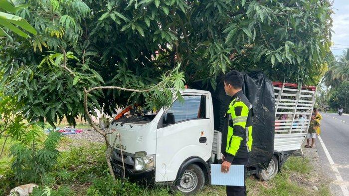 Polisi memeriksa kondisi mobil pick-up yang mengalami kecelakaan saat membawa rombongan berburu babi di Jalan Siti Manggopoh, Sungai Limau, Padang Pariaman, Minggu (19/1/2025).