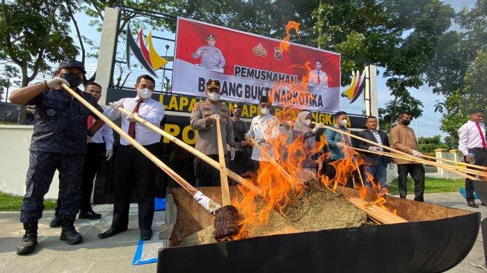 Proses pemusnahan 54,1 kilogram ganja di Mapolres Lima Puluh Kota, Jumat (15/9/2023).