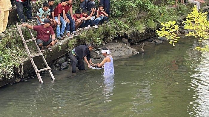 MAAMBIAK TANAH TABUIK - Pesona Tabuik Budaya Piaman 2024 sudah dimulai, hari ini, Jumat (27/6/2025) berlangsung prosesi maambiak tanah (mengambil tanah). Prosesi maambiak tanah ini diikuti oleh anak nagari, niniak mamak Tabuk dan orang tuo Tabuik serta masyarakat setempat.