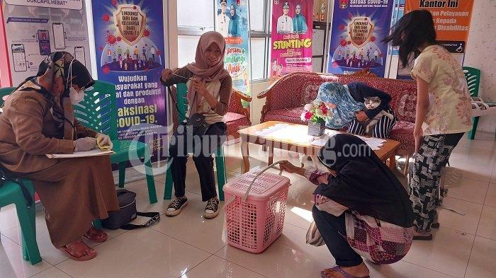 Suasana vaksinasi hewan untuk menangkal rabies di Kelurahan Benteng Pasar Atas, Kota Bukittinggi, Sumatera Barat (Sumbar), Selasa (25/7/2023).