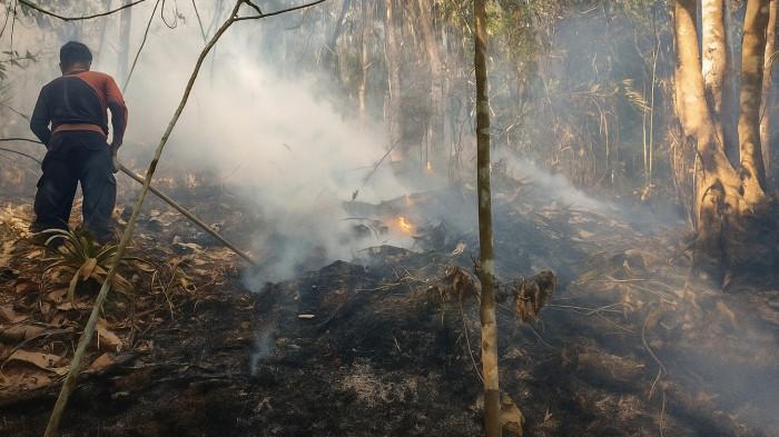 WARGA IKUT PADAMKAN- Upaya pemadaman kebakaran hutan dan lahan di Jorong Lubuak Limpato, Nagari Tarantang, Kecamatan Harau, Kabupaten Limapuluh Kota, Sumatera Barat juga dilakukan oleh warga bersama petugas, Selasa (22/7/2025). Api terus merambat mendekati homestay yang sering dijadikan tempat menginap wisatawan.