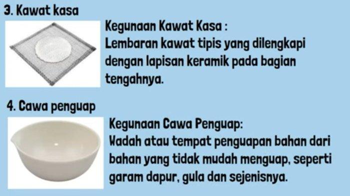 ILUSTRASI JAWABAN - Jawaban IPA kelas 7 SMP halaman 10 Kurikulum Merdeka, soal Ayo Cari Tahu, Aktivitas 1.3.