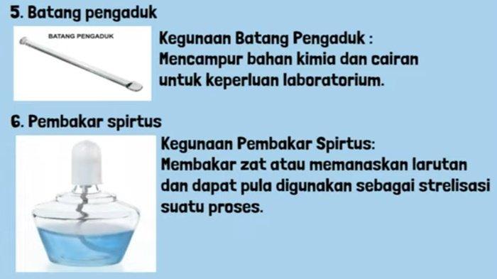 ILUSTRASI JAWABAN - Jawaban IPA kelas 7 SMP halaman 10 Kurikulum Merdeka, soal Ayo Cari Tahu, Aktivitas 1.3.