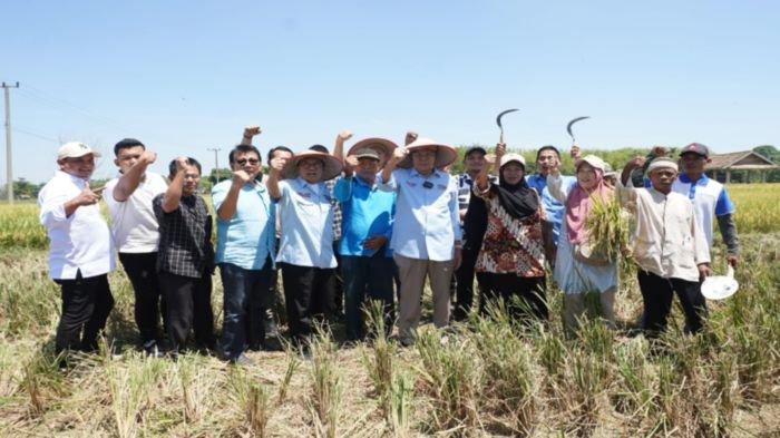 Balon Gubernur Sumsel Mawardi Yahya disambut hangat oleh ribuan masyarakat OKU Timur Provinsi Sumatera Selatan, Jumat (20/09/2024). Selain menemui warga, Mawardi Yahya juga menemui para petani dan juga menghadiri panen raya di Desa Cahya Negeri Kecamatan Semendawai Suku III Kabupaten OKU Timur.