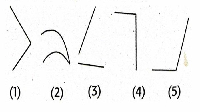 Contoh 1 soal BAB 6 Matematika kelas 5 SD semester 2 Kurikulum Merdeka