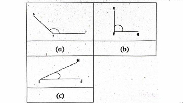 Contoh 3 soal BAB 6 Matematika kelas 5 SD semester 2 Kurikulum Merdeka