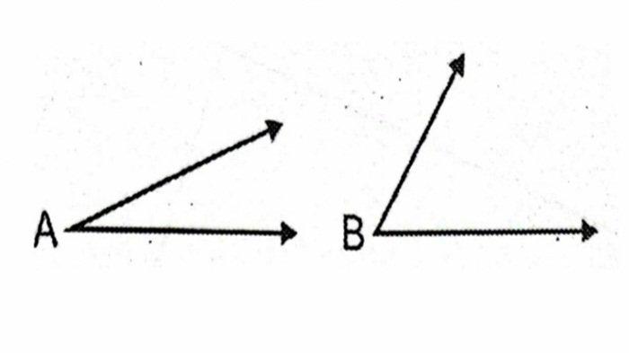 Contoh 5 soal BAB 6 Matematika kelas 5 SD semester 2 Kurikulum Merdeka