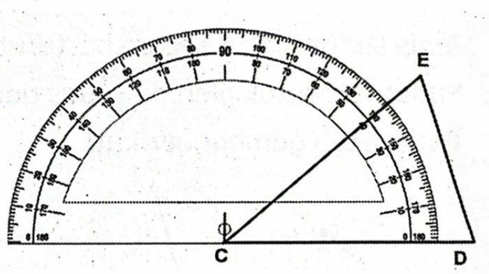 Contoh 8 soal BAB 6 Matematika kelas 5 SD semester 2 Kurikulum Merdeka
