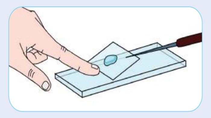Gambar 1.10 Menyiapkan preparat basah