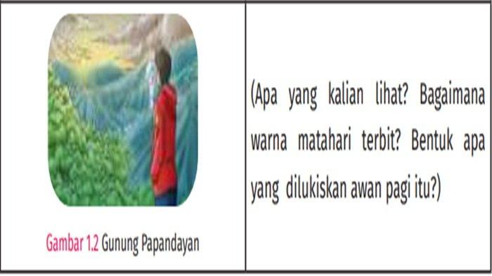 Gambar 1.2 Gunung Papandayan Bahasa Indonesia kelas 7 SMP halaman 14 Kurikulum Merdeka, Kegiatan 5a