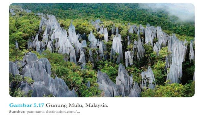 Gambar 5.17 Gunung Mulu, Malaysia.
