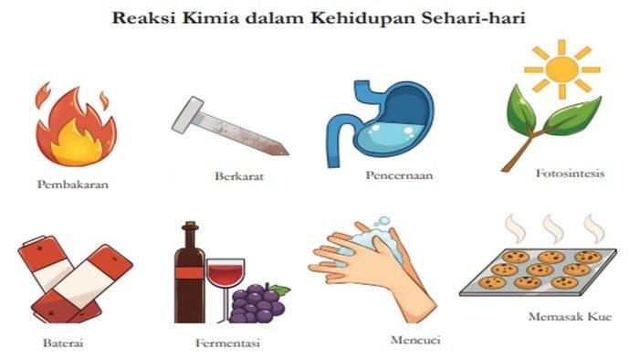 Gambar 5.3 Reaksi-reaksi kimia yang sering terjadi dalam kehidupan.