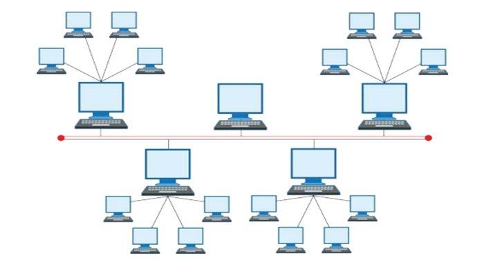 Jaringan Topologi hybrid