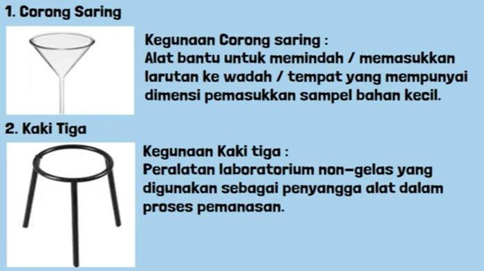 ILUSTRASI JAWABAN - Jawaban IPA kelas 7 SMP halaman 10 Kurikulum Merdeka, soal Ayo Cari Tahu, Aktivitas 1.3.