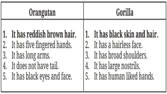 Jawaban Worksheet 1.13, Bahasa Inggris kelas 9 SMP halaman 51 Kurikulum Merdeka
