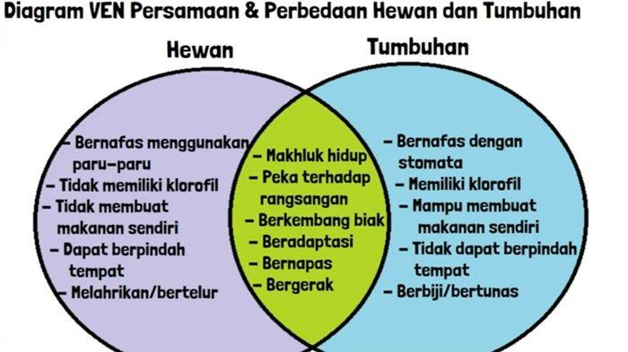 Jawaban soal IPA kelas 8 SMP halaman 12 semester 1 Kurikulum Merdeka