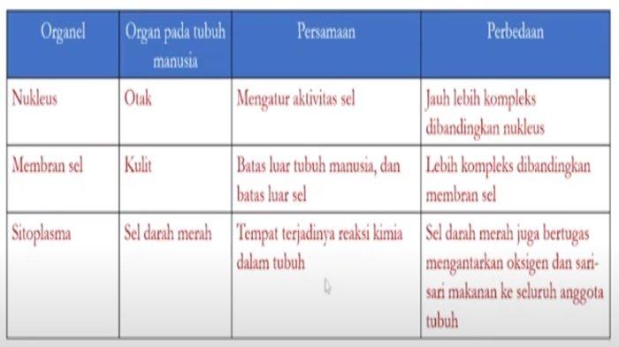 Jawaban soal nomor 13, IPA kelas 8 halaman 25-26 Kurikulum Merdeka, bagian Review Bab