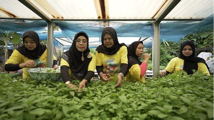 Pada pemanfaatan EBT untuk mendukung IPAL, juga telah berkontribusi terhadap penurunan emisi sebsar 0,268056 ton CO2 sejak digunakan.