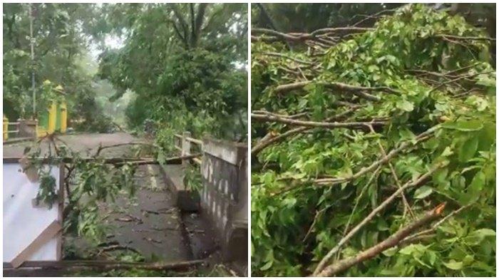 Kota Muara Enim Kabupaten Muara Enim Provinsi Sumsel dihantam angin puting beliung dan hujan lebat, Kamis (24/10/2024).