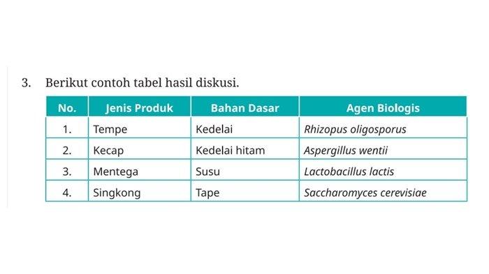 Jawaban soal Aktivitas 4.1 Biologi kelas 12 SMA halaman 178 Kurikulum Merdeka.