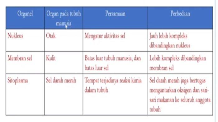 Kunci jawaban soal IPA kelas 8 SMP halaman 22 semester 1 Kurikulum merdeka nomor 2
