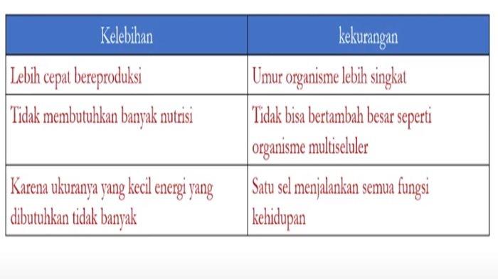 Kelebihan dan kekurangan organisme satu sel yang melakukan seluruh fungsi tubuhnya.