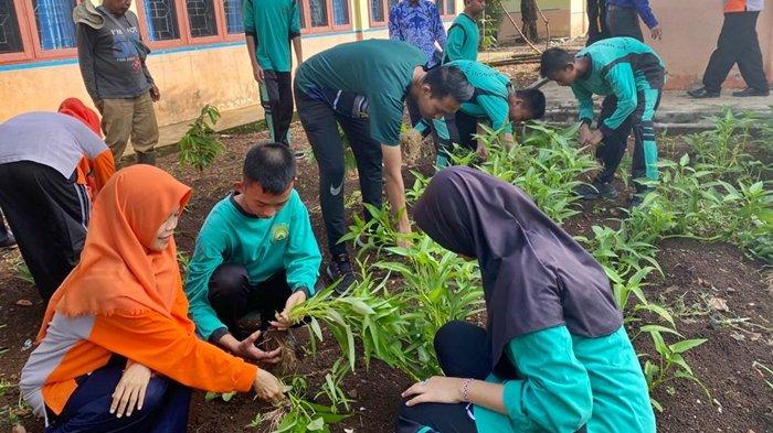 Demi mengimplementasikan Gerakan Sumsel Mandiri Pangan (GSMP), SMPN 1 Unggul Lahat Selatan semakin gencar memanfaatkan pekarangan sekolah.