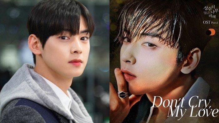 Translate Lirik Lagu Don’t Cry My Love - Cha Eun Woo, OST Web Novel ...