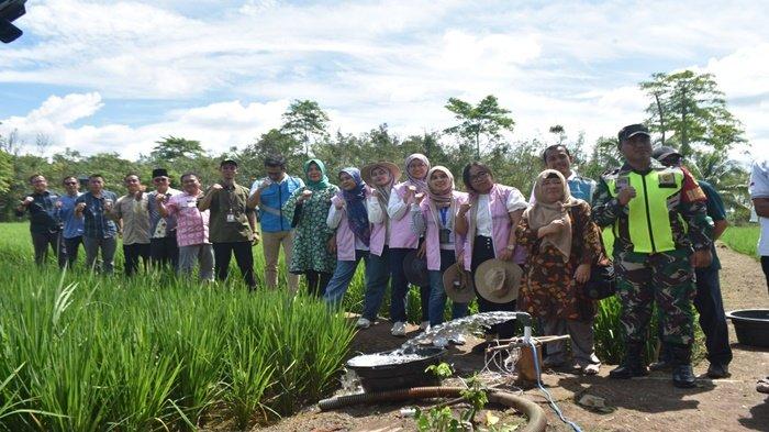 PERSEMIAN - PT PLN (Persero) melalui Pusat Manajemen Proyek (PUSMANPRO) resmi meluncurkan program Smartfarm Academy di Kabupaten Penukal Abab Lematang Ilir (PALI), Rabu (18/6/2025).