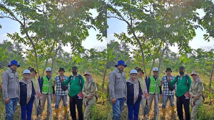 PT Bukit Asam Tbk (PTBA) berhasil melakukan Rehabilitasi Daerah Aliran Sungai (DAS) pada 2 lokasi di Kabupaten Muara Enim. Keberhasilan ini ditandai dengan ekspose dan serah terima pekerjaan rehabilitasi DAS kepada Kementerian Lingkungan Hidup & Kehutanan (KLHK), Senin (27/11/2023).