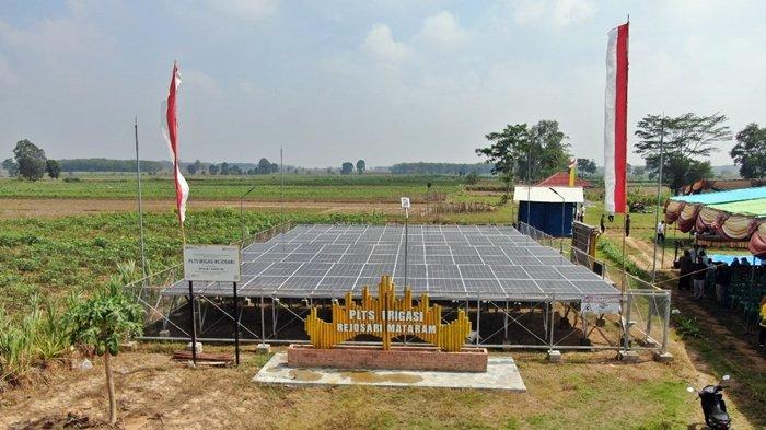 Pembangkit Listrik Tenaga Surya (PLTS) untuk irigasi lahan pertanian di Kampung Rejosari Mataram, Kecamatan Seputih Mataram, Kabupaten Lampung Tengah diresmikan oleh Bupati Lampung Tengah Musa Ahmad dan VP Sustainability PT Bukit Asam Tbk (PTBA) Hartono pada Rabu (15/11/2023).