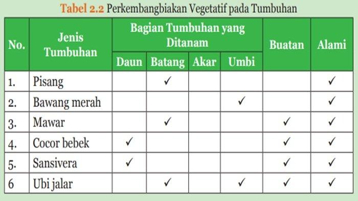 Perkembangbiakan Vegetatif pada Tumbuhan